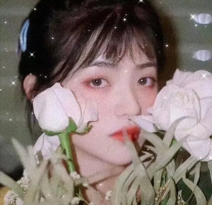 我的疯狂书迷